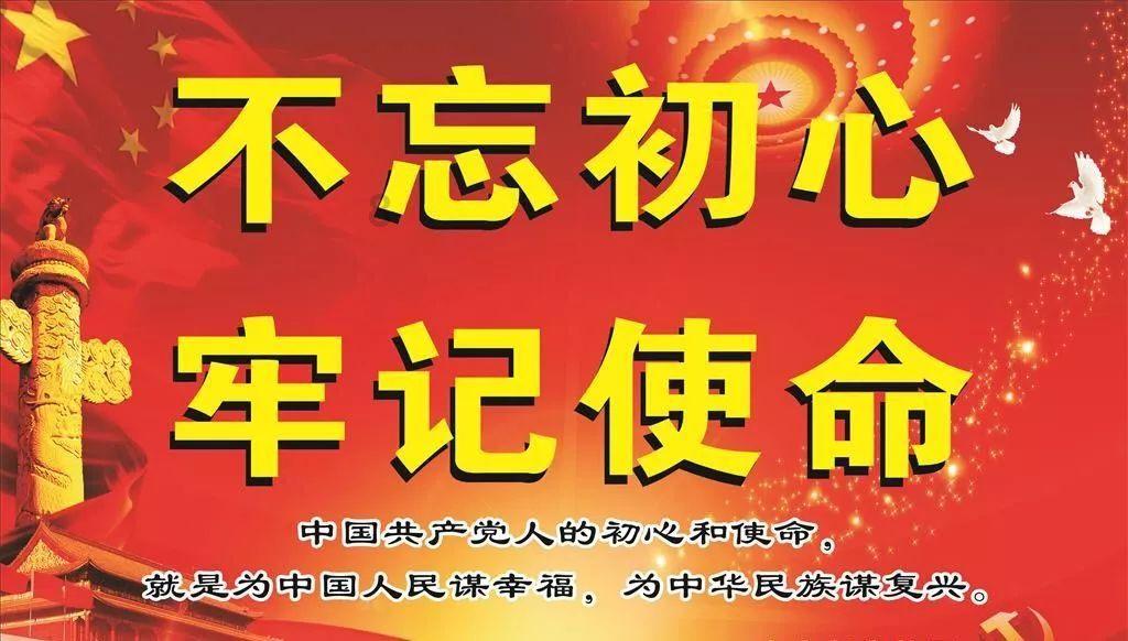雨后盛放